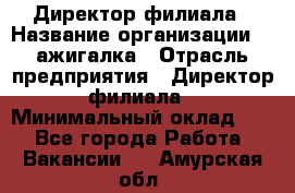 Директор филиала › Название организации ­ Zажигалка › Отрасль предприятия ­ Директор филиала › Минимальный оклад ­ 1 - Все города Работа » Вакансии   . Амурская обл.